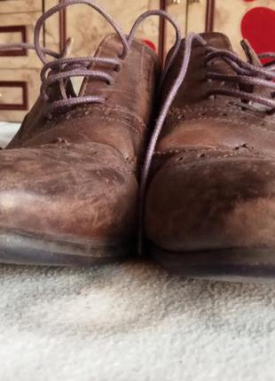 Оксфорди, туфлі, черевики, броги шкіра 6