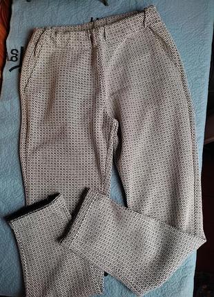 Трикотажні штани штани чиносы zebra