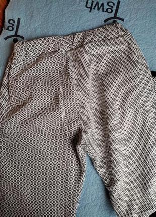 Трикотажные штаны брюки чиносы zebra2 фото