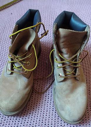 Timberland мужские