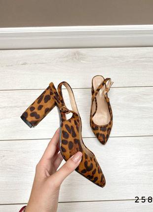 Туфлі на каблуку леопардовий принт3 фото