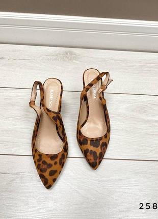 Туфлі на каблуку леопардовий принт5 фото