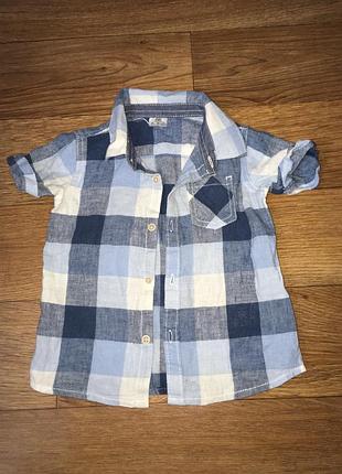 Сорочка в клітку