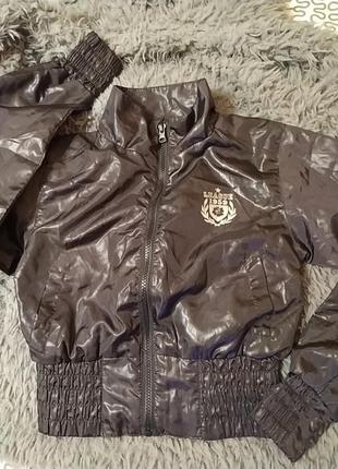 Куртка ветровка короткая топ.