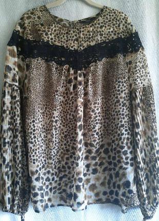 Жіноча шифонова блуза в принт леопарда, блузка з мереживом бренду next. великий розмір, батал.