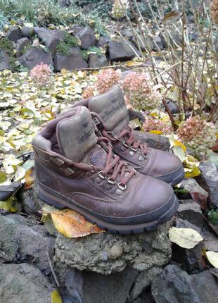 Зимові черевики timberland1 фото