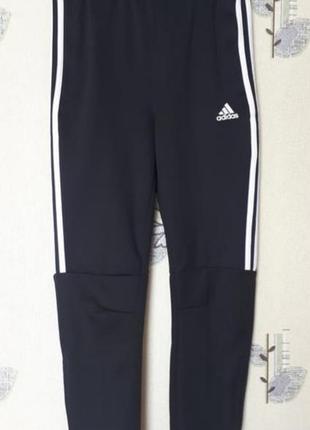 Штани adidas1 фото