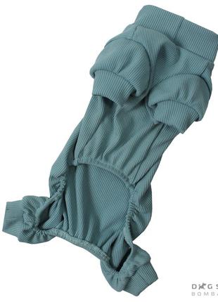 Костюм пильник для собак і котів небесний