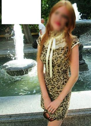 Платье нарядное леопард с сеточкой и красивым воротником