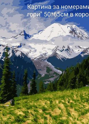 Картина по номерам 50*65 artstory стор каскадні гори