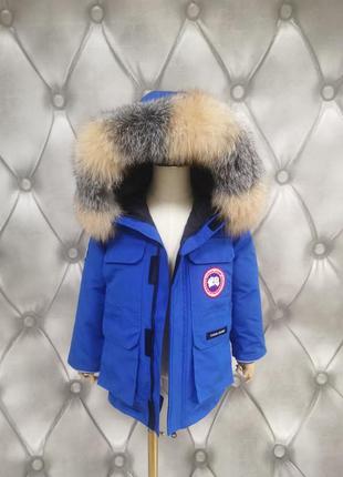 Парка canada goose