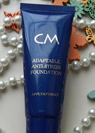 Color me adaptable antistress powder тональний