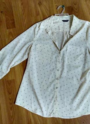 Класична сорочка