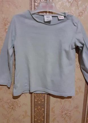 Базовий реглан,лонгслив унісекс zara