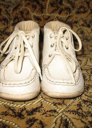 Черевики ortope