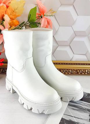 Широкі півчобітки6 фото