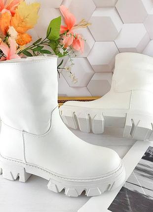 Широкі півчобітки4 фото