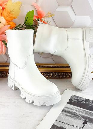 Широкі півчобітки8 фото