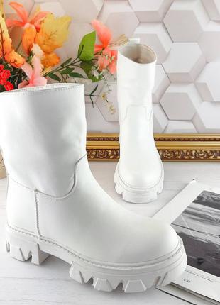 Широкі півчобітки5 фото