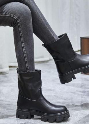 Широкі півчобітки