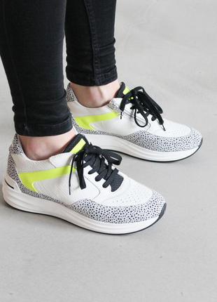 Шкіряні кросівки red-rag