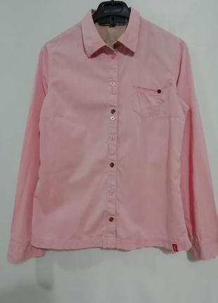 Стильная розовая рубашка c длинным рукавом edc2 фото