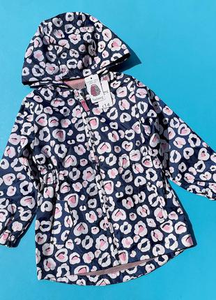 Детская ветровка nutmeg