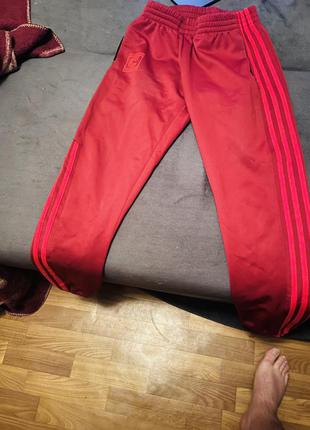 Мужские штаны yeezy adidas calabasas3 фото
