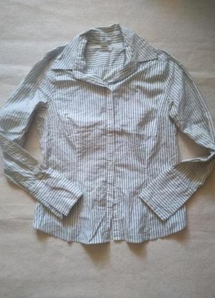 Приталеная стильна сорочка блузка в смужку