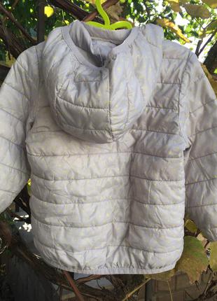 Куртка , вітровка, витровка obaibi5 фото