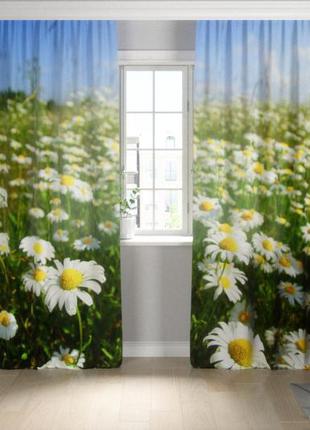 Фотоштора ромашки 1