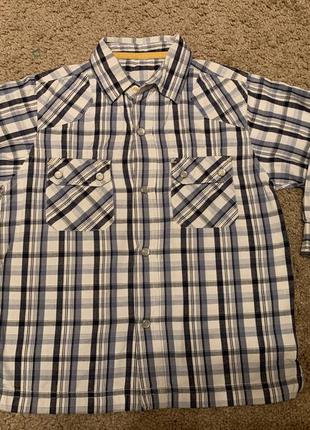 Сорочка в клітку