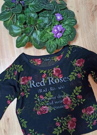 Блуза топ terranova, s размер