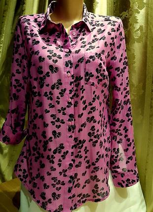 Жіноча сорочка на гудзиках, з довгим рукавом, від бренду/ papaya weekend/ сша.