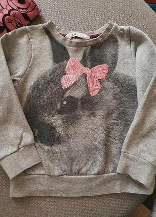 Реглан на байке свитшот зайка