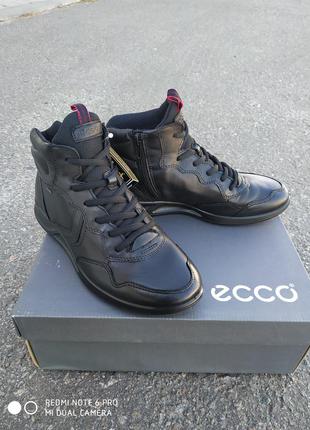 Осенние ботинки ecco genna 283623 01001 c gore tex7 фото