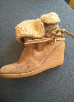 Сапоги, полусапоги замша натуральная осень весна2 фото