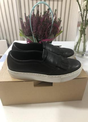 Лофери шкіра