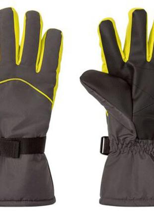 Лыжные перчатки crivit® мужские,