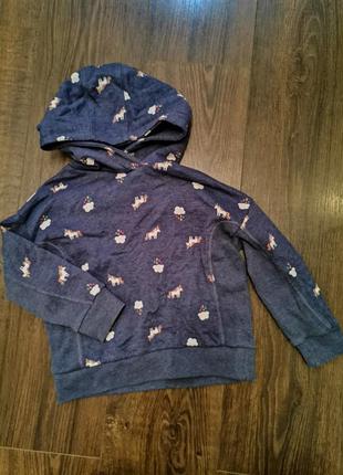 Утеплене худі, кофта поні