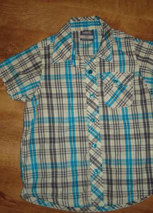Trespass сорочка сорочка на 7-8 років2 фото