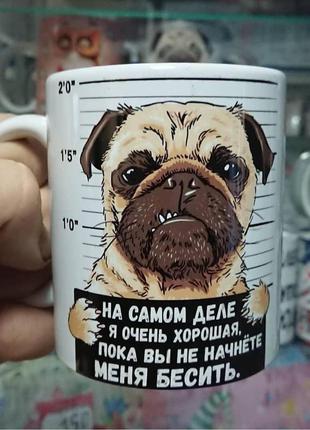 Кружка "на самом деле..."