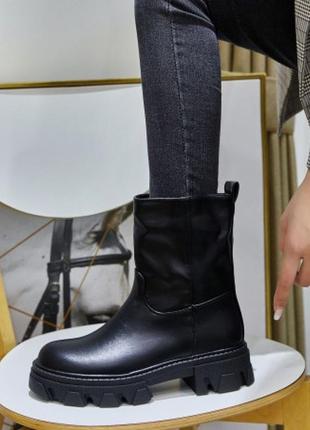 Широкі півчобітки