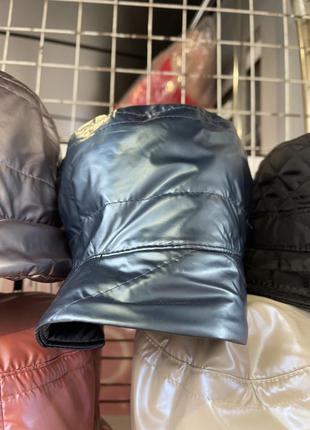 Панама плащівка 8