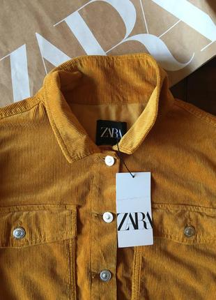 Горчичная рубашка кроп пиджак   вельветовая оверсайз zara