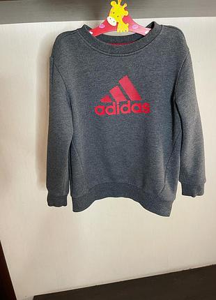 Толстовка adidas 4