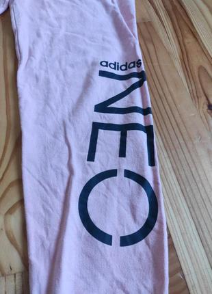 Штани спортивні adidas neo3 фото