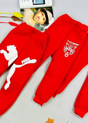 Спортивные штаны