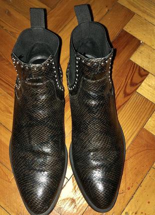 Ботинки челси фактурные змеиный принт2 фото