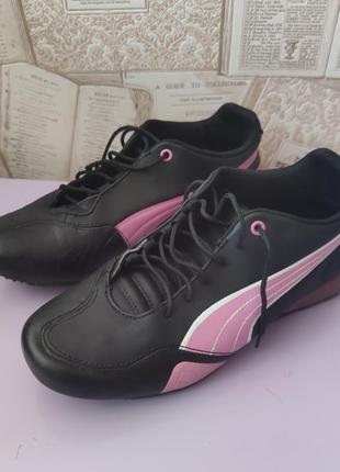 Кросівки жіночі